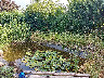 Terrasse im Gartengeschoß mit angrenzendem Teich