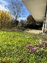 Frühlingsduft auf Ihrer Terrasse im Gartengeschoss
