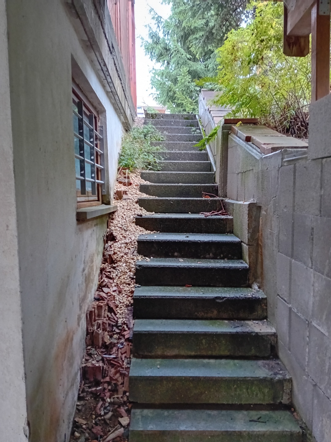 Treppe vom Garten zum Hauseingang